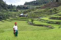 Cultivating  Seeds Together: SN Aboitiz Power and Hedcor building strong and lasting relationships with IPs
