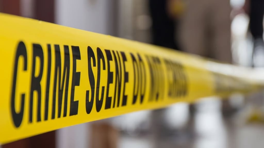 Chinese slay suspects identified