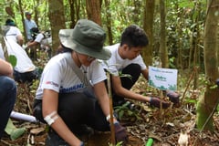 MPower, partners to nurture 
additional 1,500 trees in Laguna