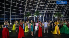 Miss Earth 2024: Meet the Candidates