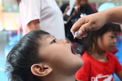 School-based vaccination paying off — WHO, UNICEF