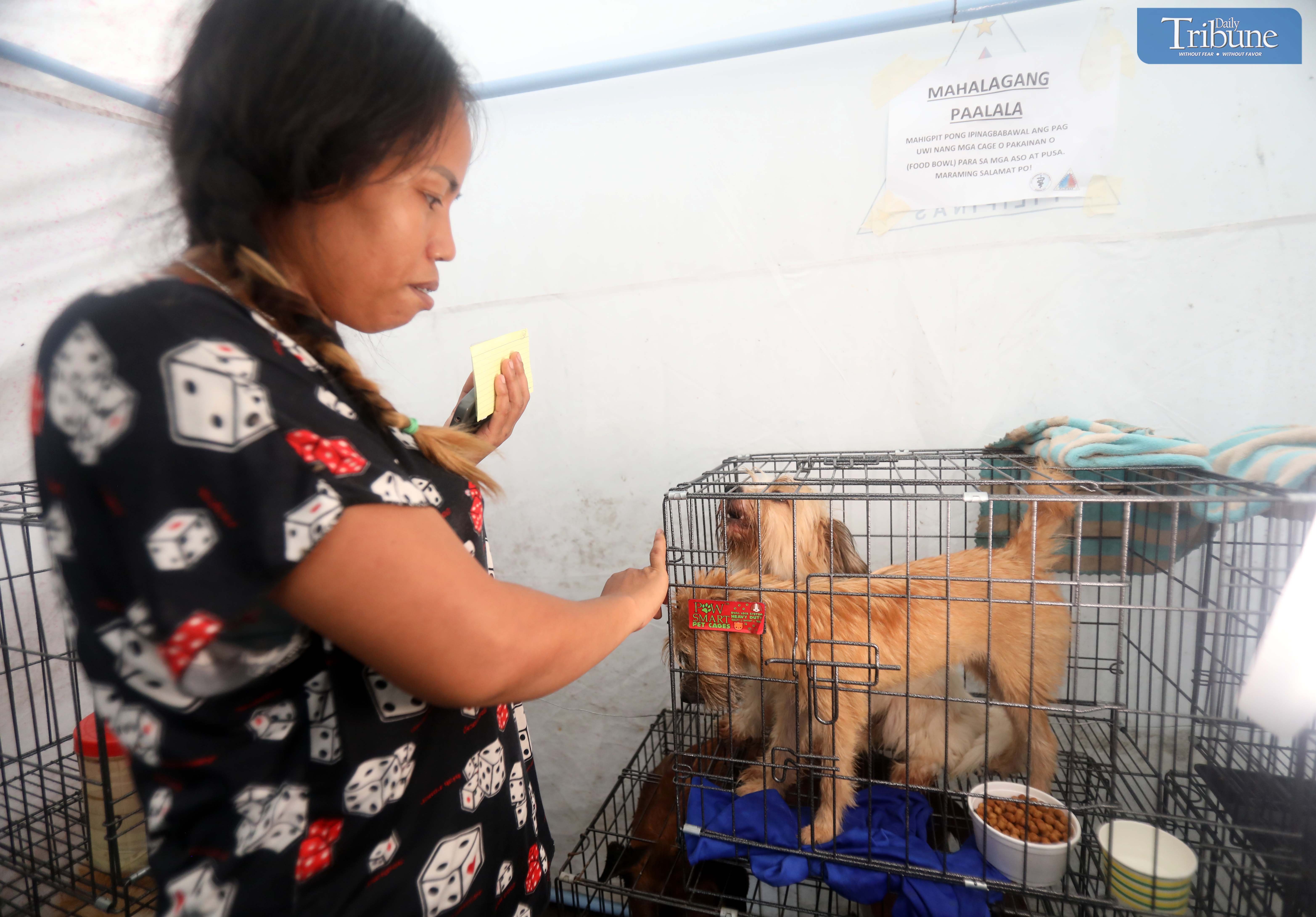 Quezon City pet evac center