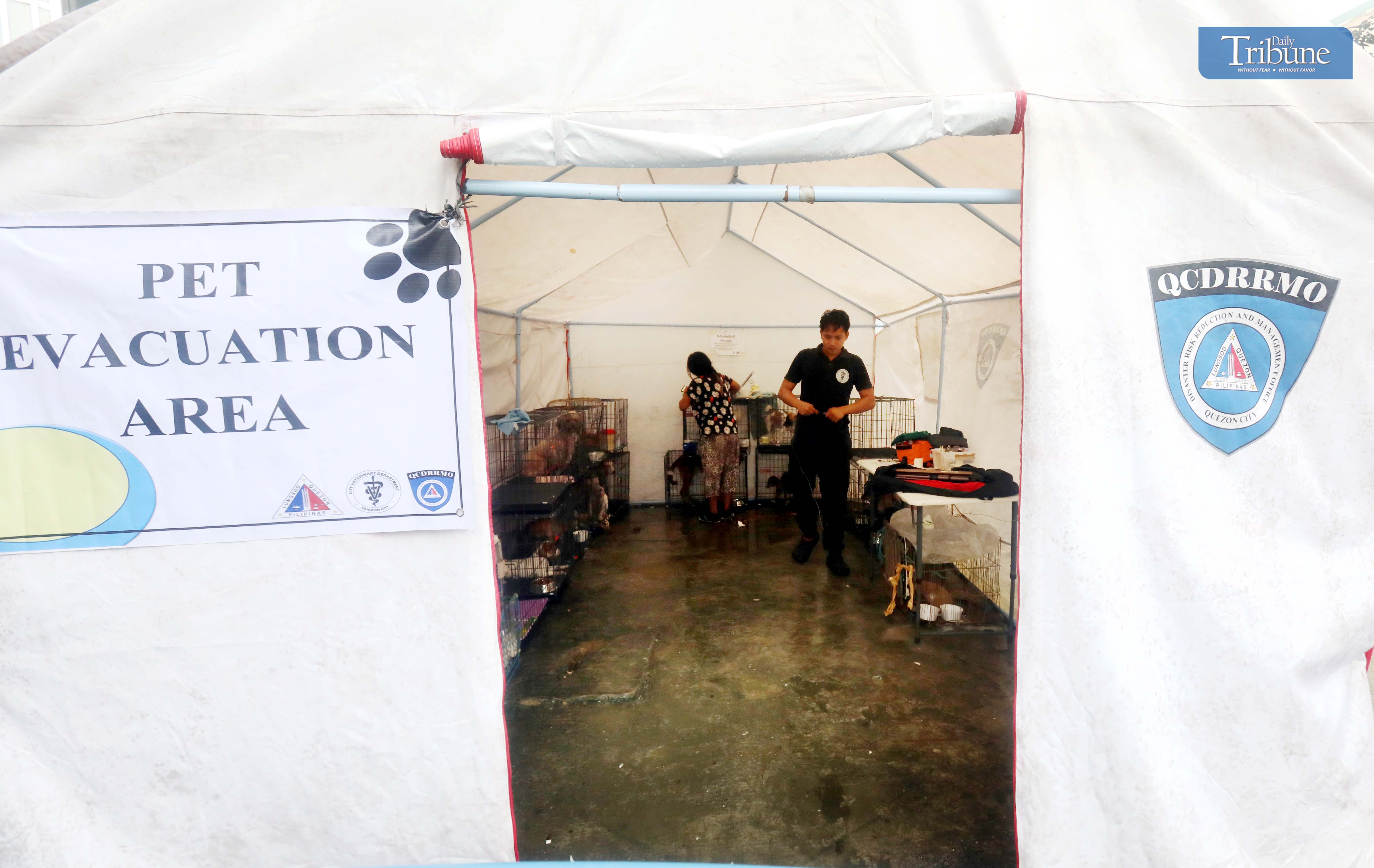 Quezon City pet evacuation area