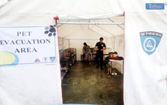 Quezon City pet evacuation area