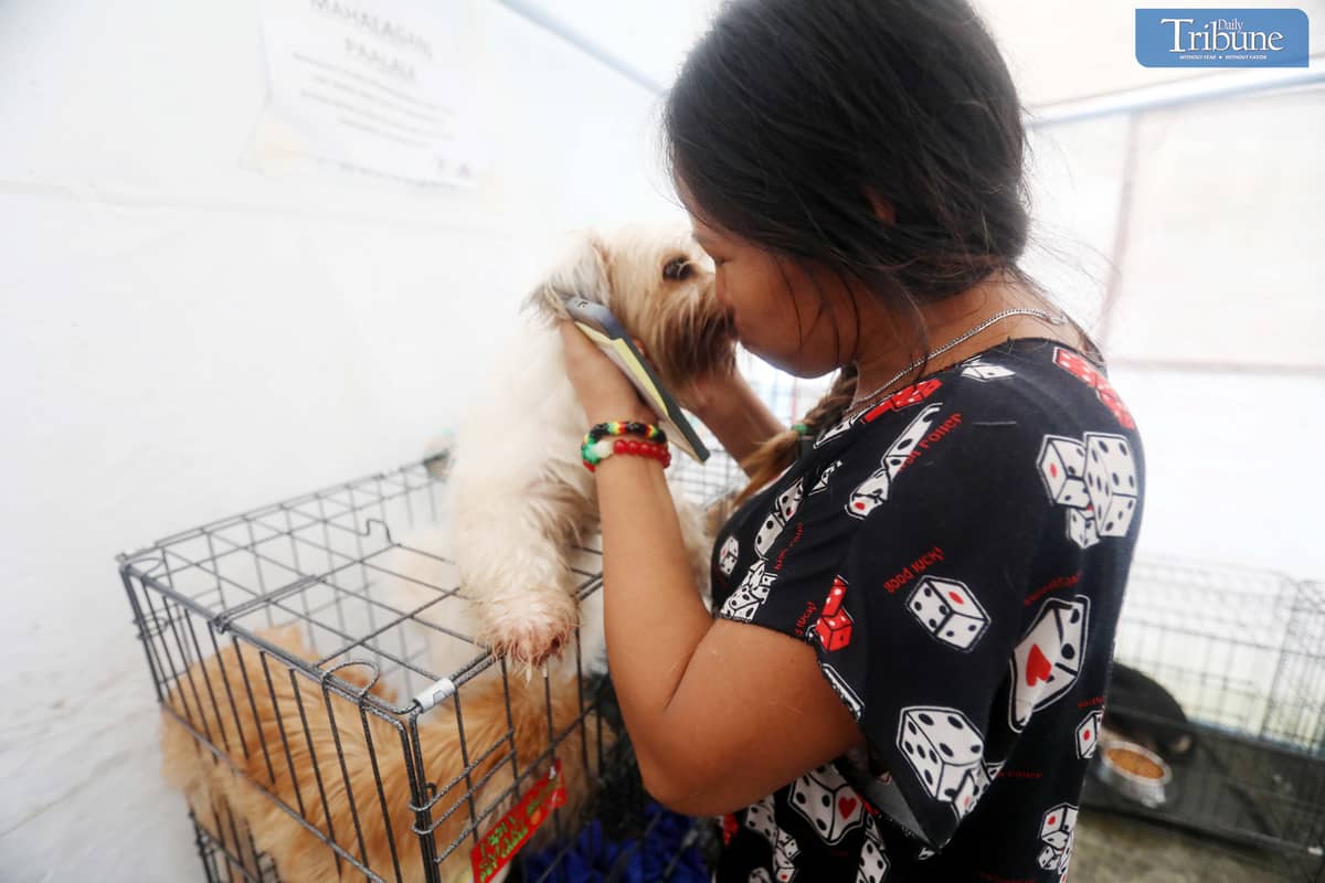 Fur parent at QC pet evac area.