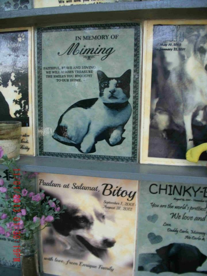 The PAWS Pet Memorial Wall is not a place to bury or keep a deceased animal’s remains.