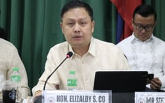 House panel willing to summon Elizaldy Co, other solons in flood control probe