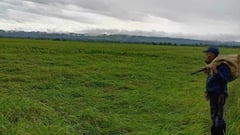 DA Cordillera prepares needed aid for farmers