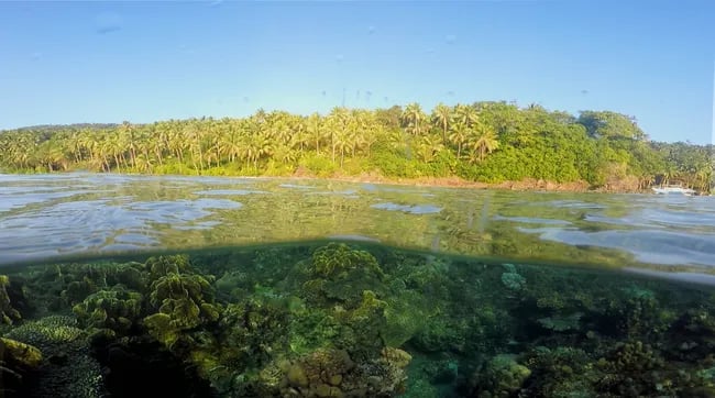 Southern Leyte coral restoration launched