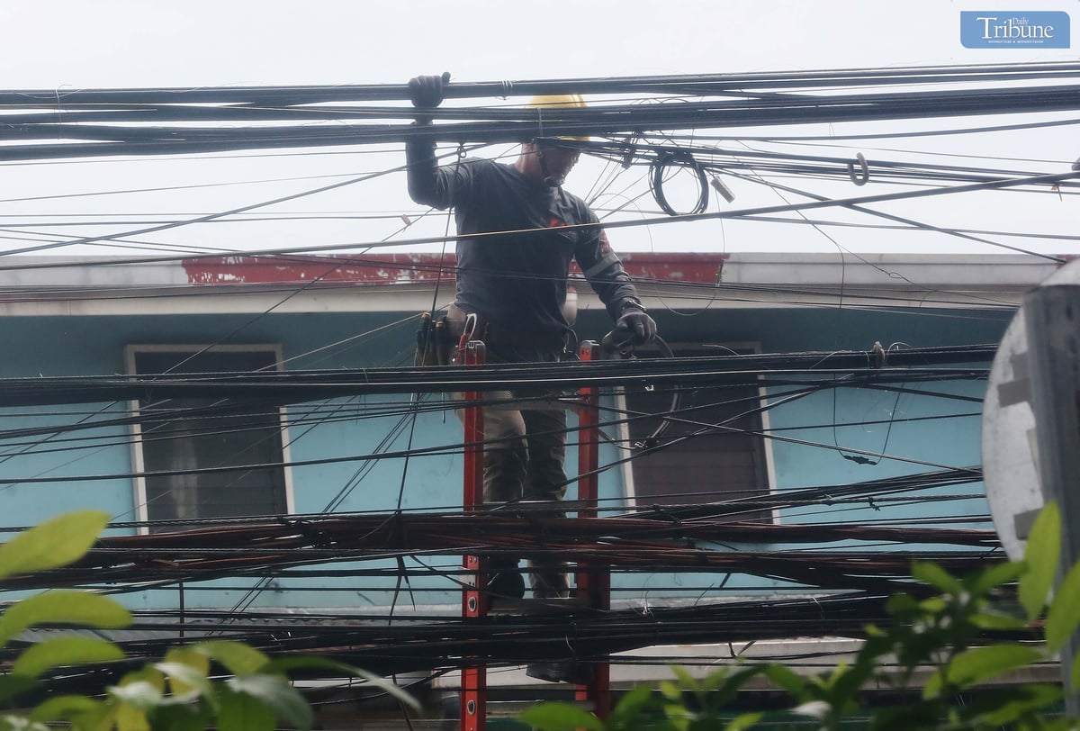 Analy Labor