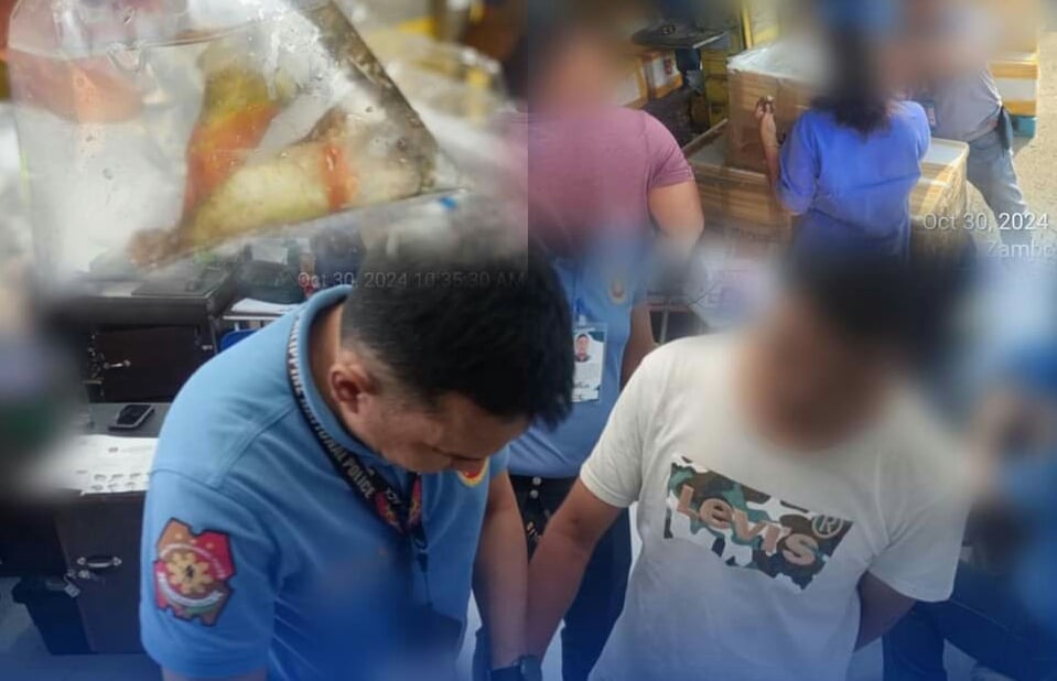 Suspect arrested for illegal coral trade at Zamboanga intn'l airport
