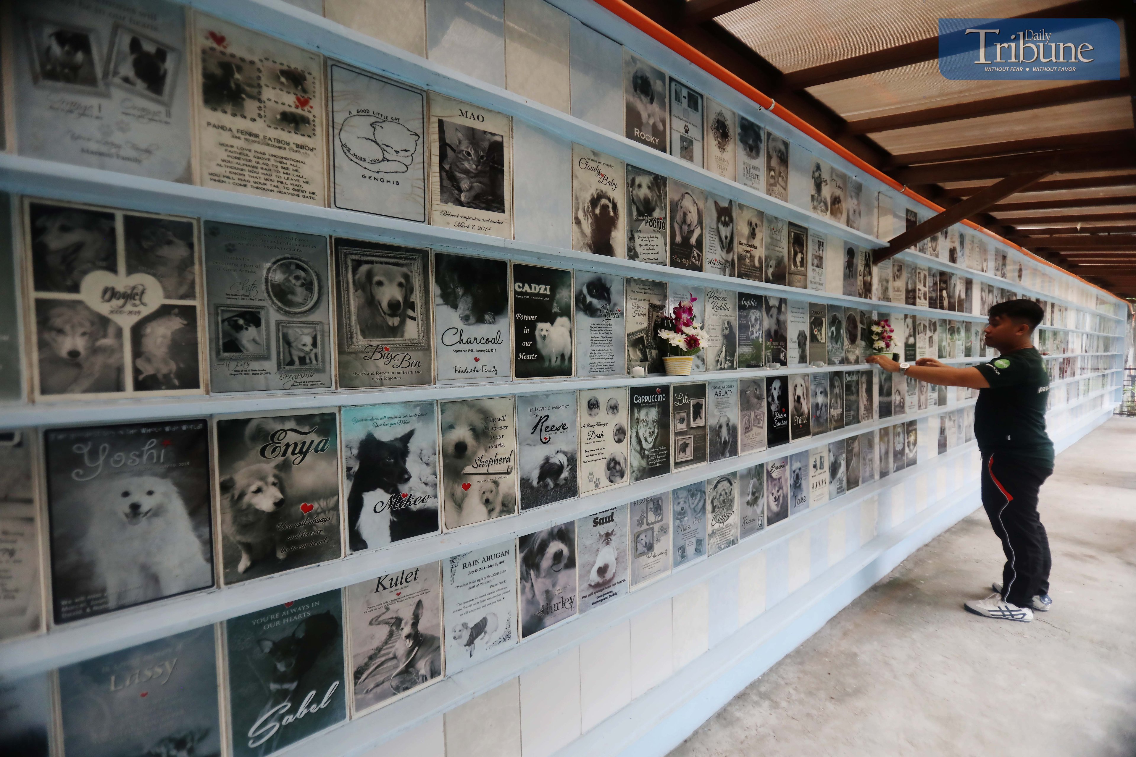 The Philippine Animal Welfare Society (PAWS) columbarium.
