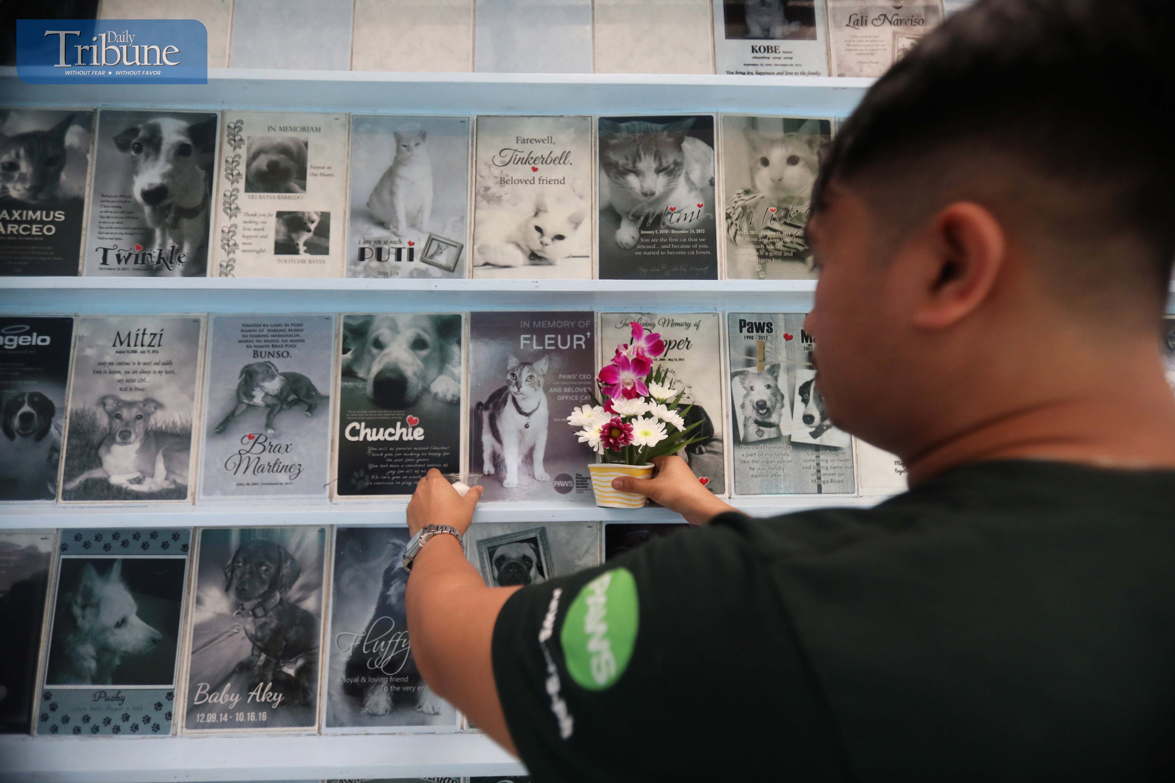 The Philippine Animal Welfare Society (PAWS) columbarium.