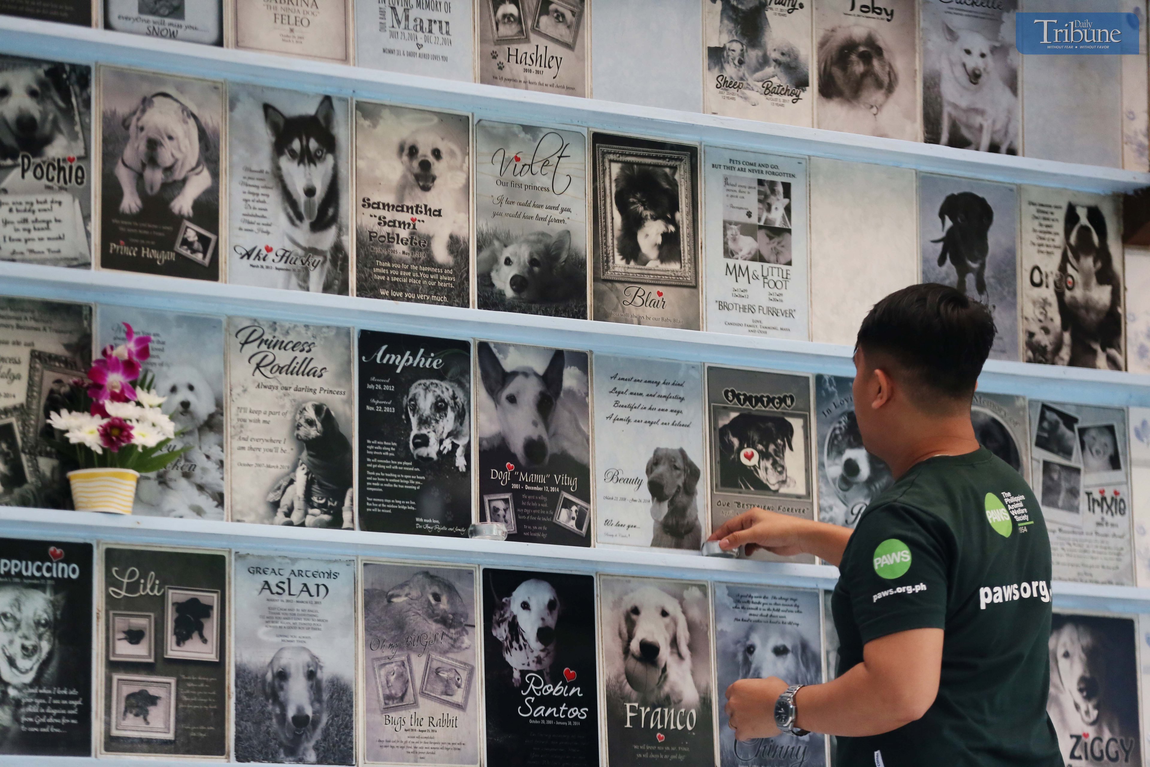 The Philippine Animal Welfare Society (PAWS) columbarium.
