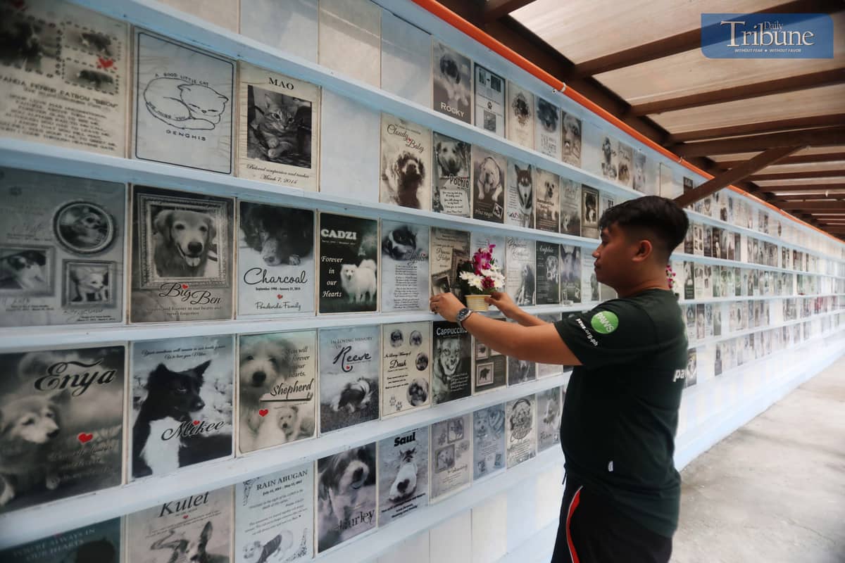 The Philippine Animal Welfare Society (PAWS) columbarium.