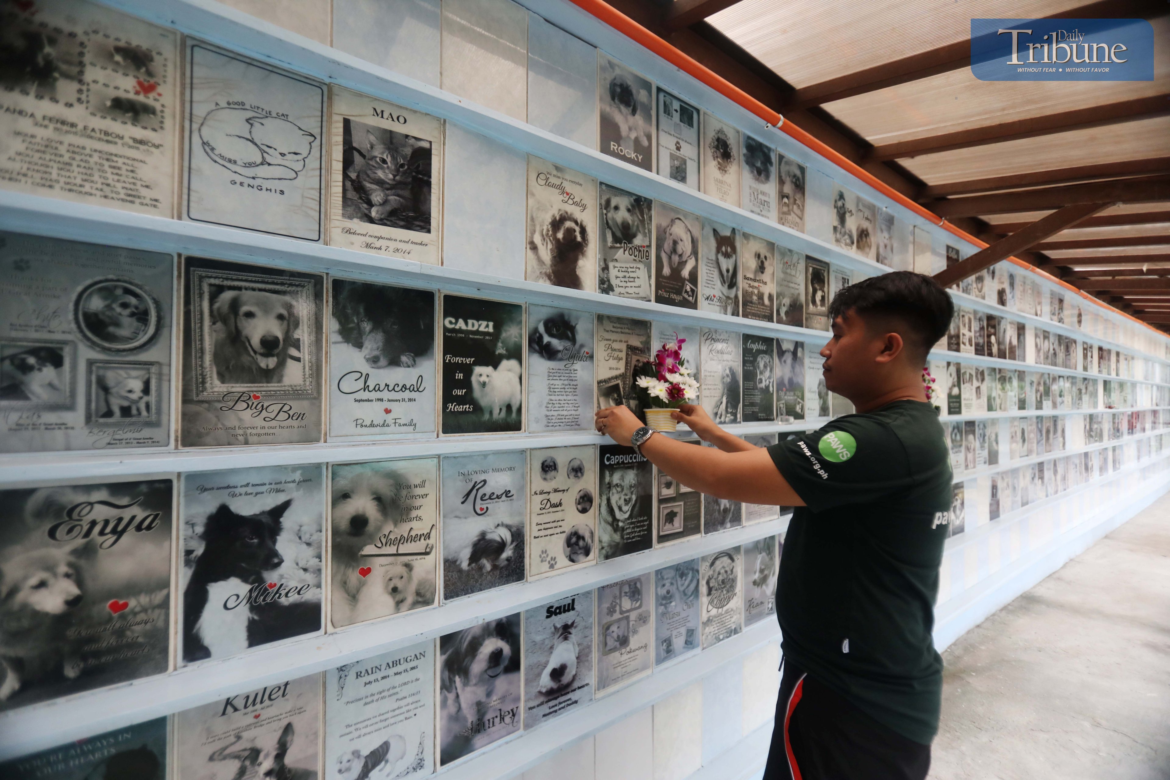 The Philippine Animal Welfare Society (PAWS) columbarium.
