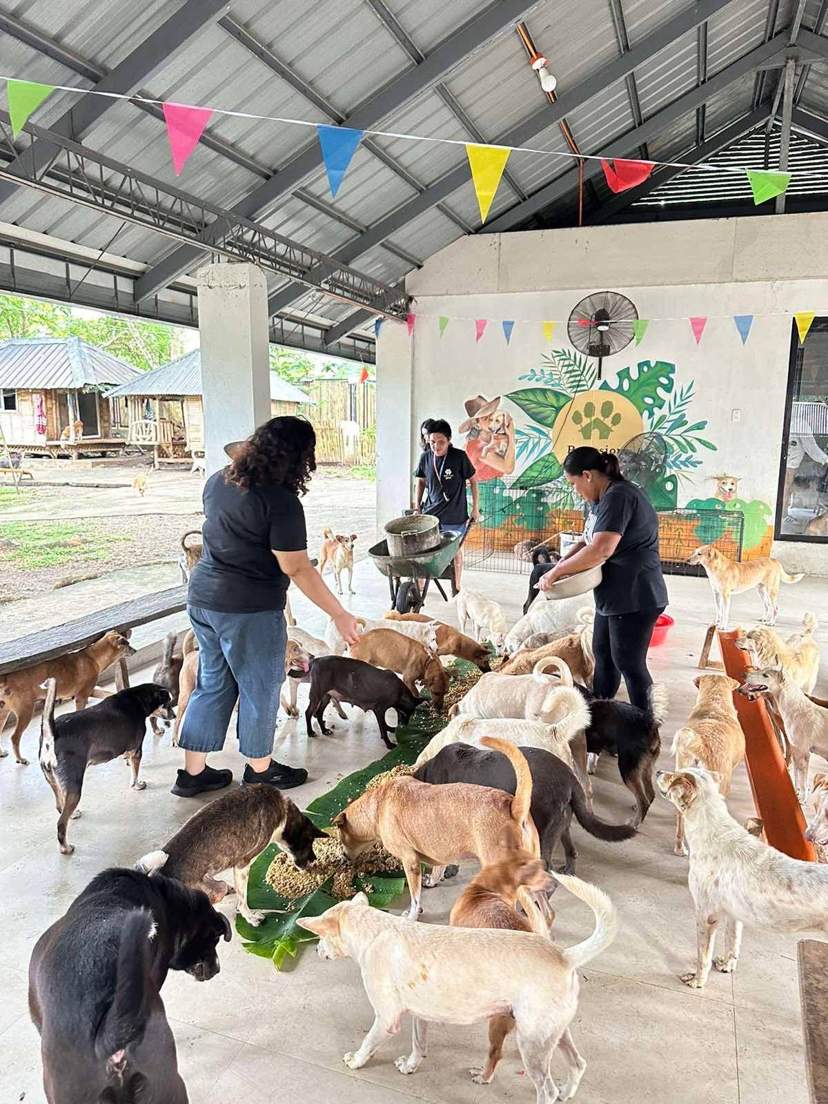 Bacolod rescues at the main hall.