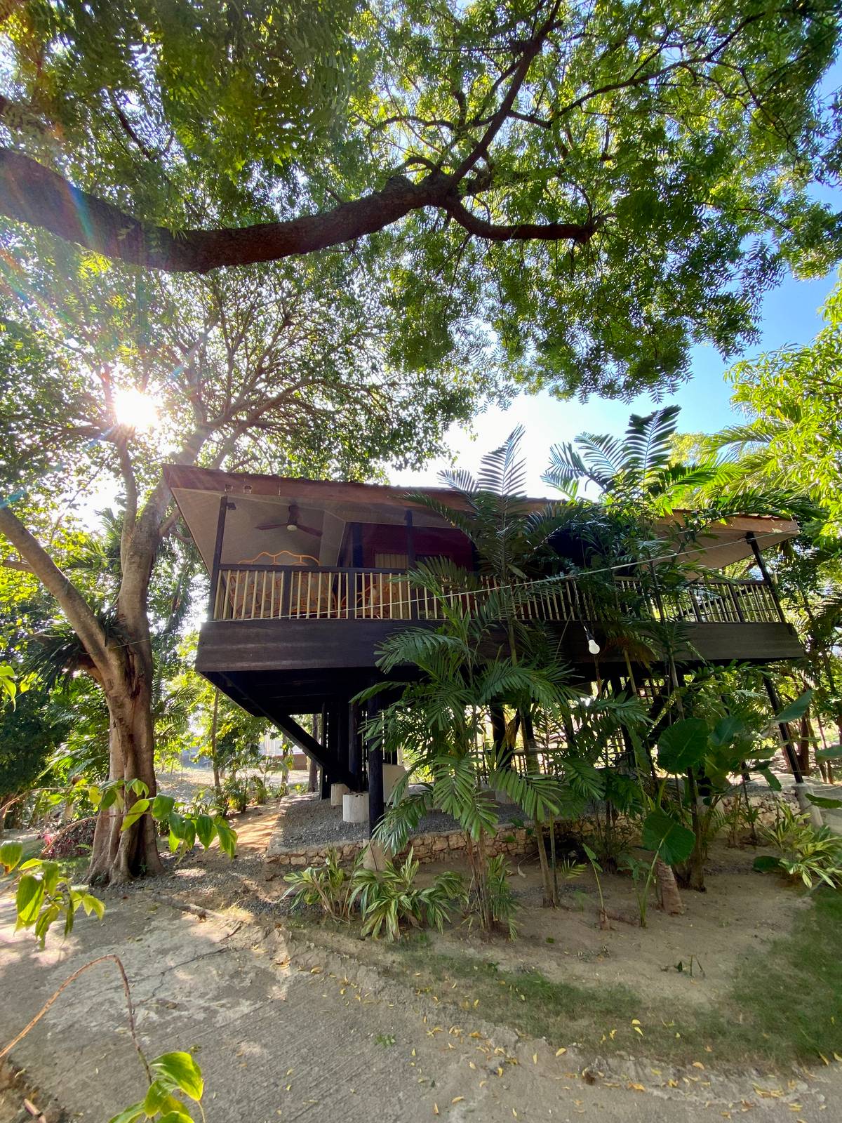 Club Serena’s Treehouse.