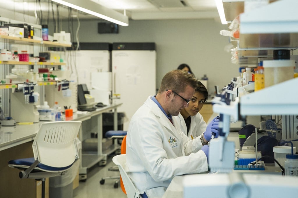 UN summit approves fund to share benefits of nature's sequenced genetic data
