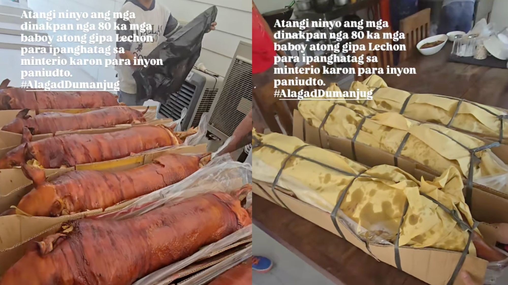 Cebu lechoneros eyes smuggled, cheaper hogs says Cebu City vet