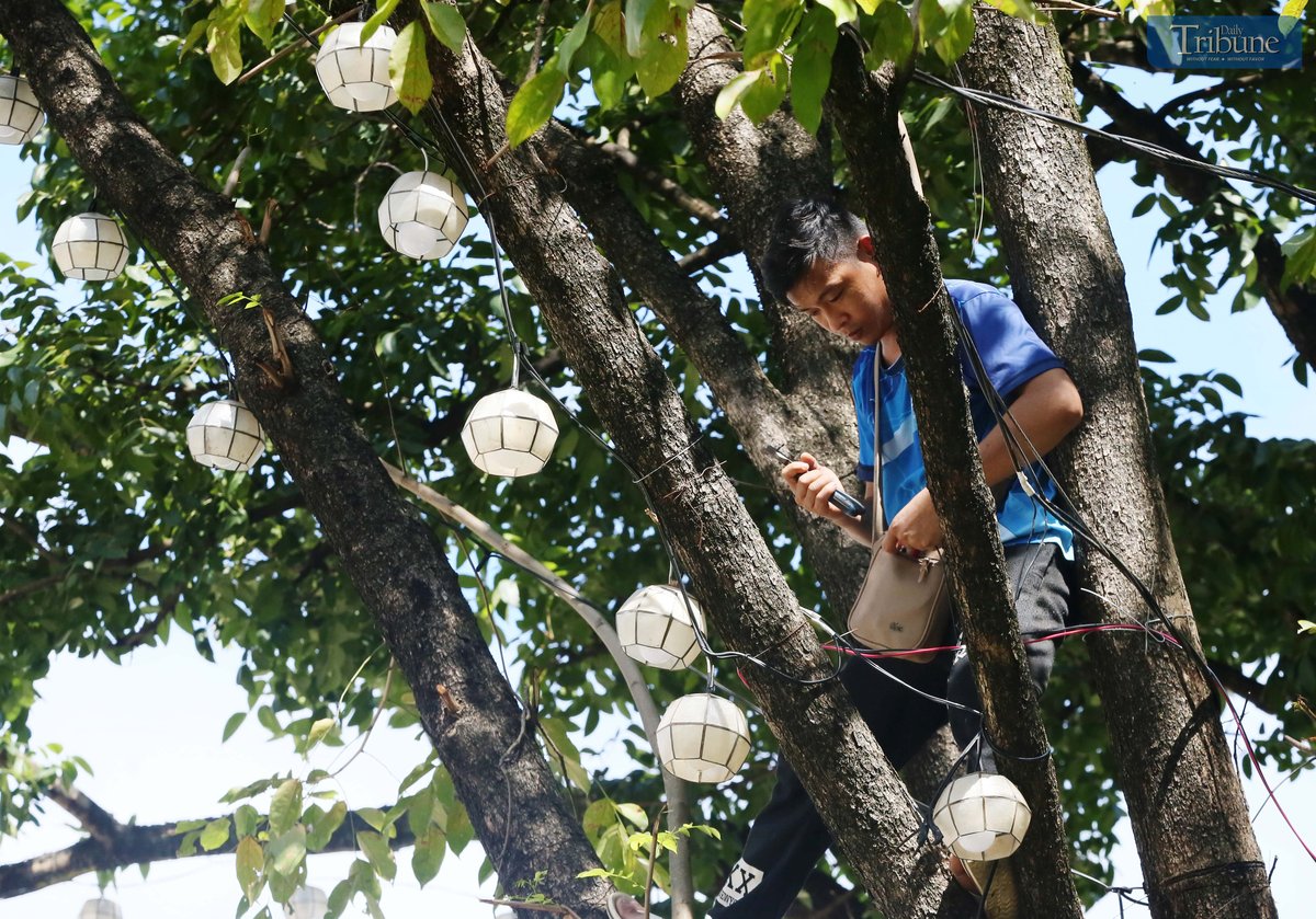 Analy Labor