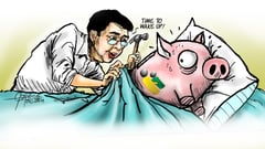 Pork, root of evil