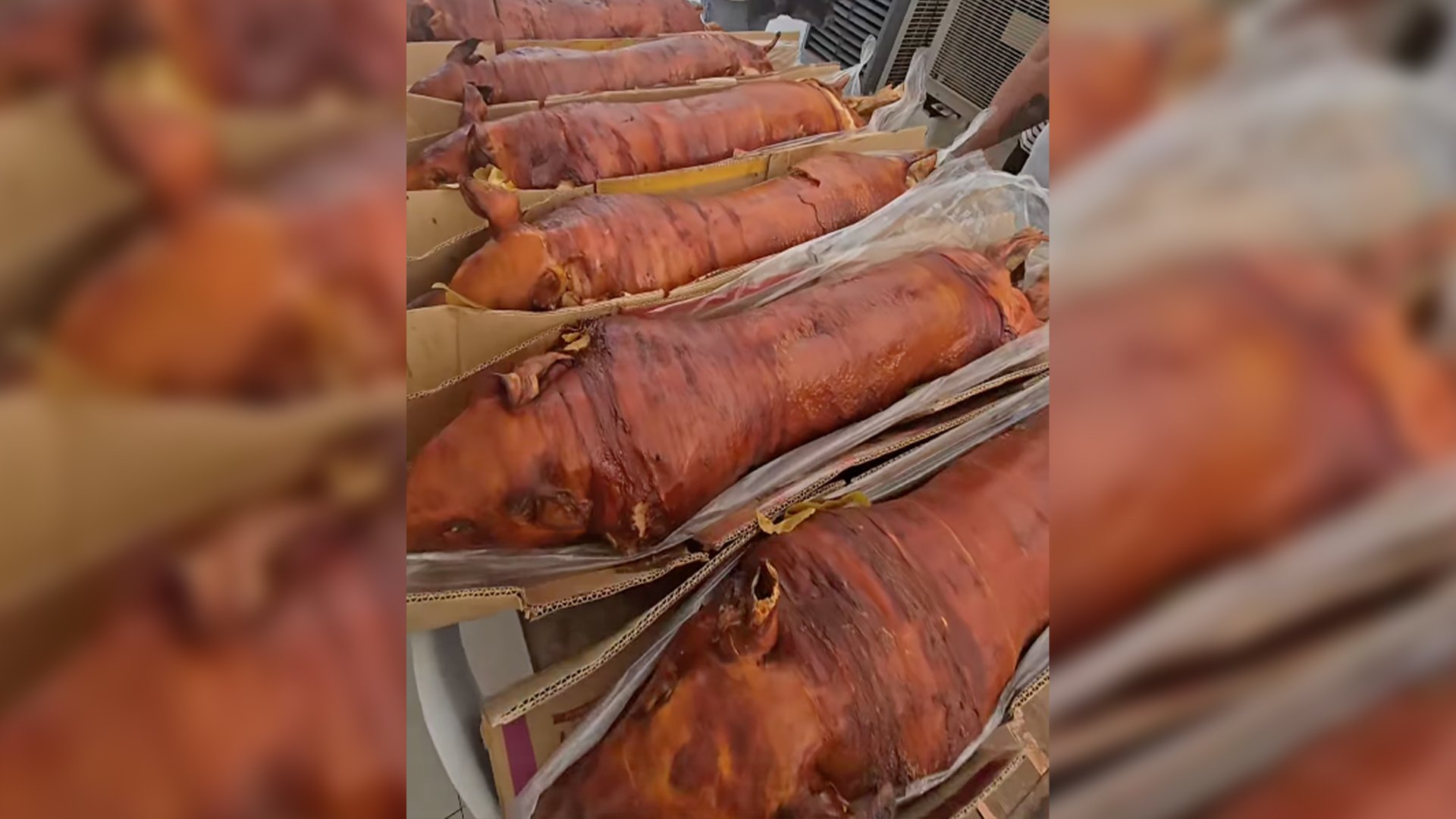 Lechon returns to La Loma as QC lifts ASF ban on 14 shops