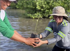 GMEC-GNPD OkTREEberfest plants 2,000 mangrove seedlings