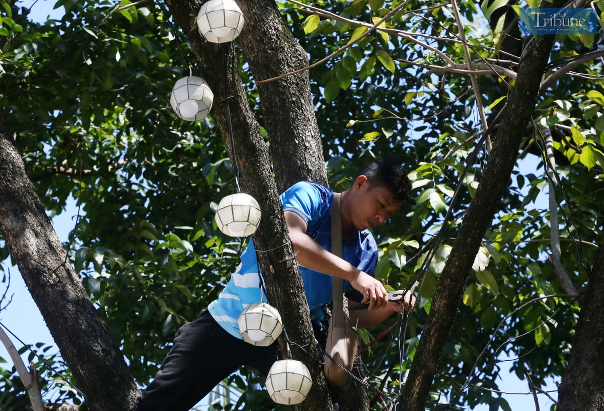 Analy Labor