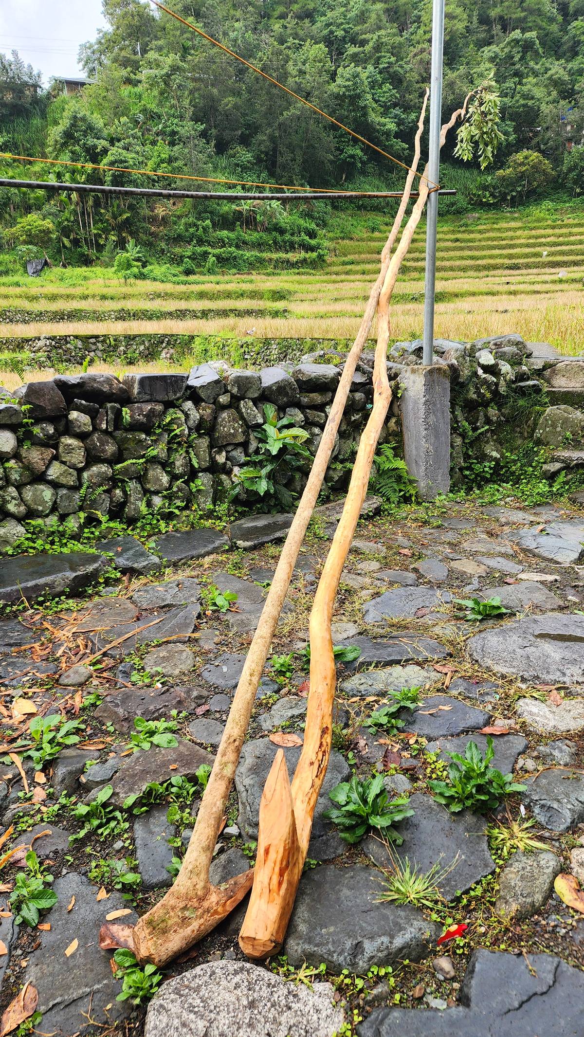 The pakid of Hapao, which would be used in the tug-of-war.