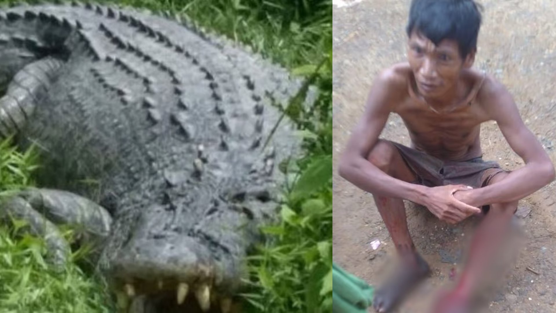 Crocodile attack injures man aboard raft 