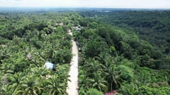 New road provides access to Aetas