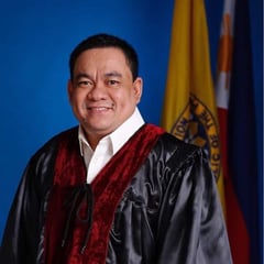 Ex-Comelec chair files COC for district representative