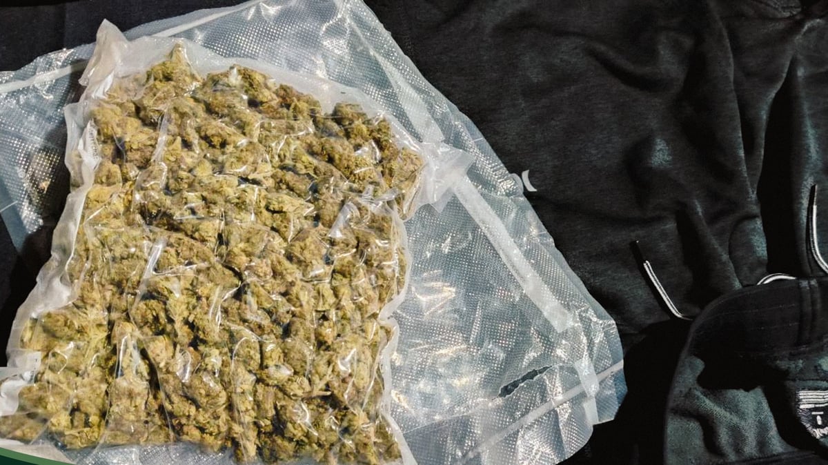 P729K worth marijuana seized in Clark
