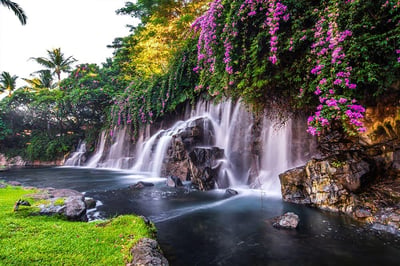Aloha, Hawaii!