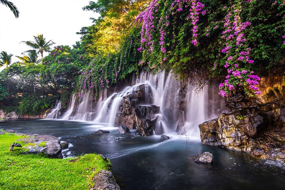 Aloha, Hawaii!