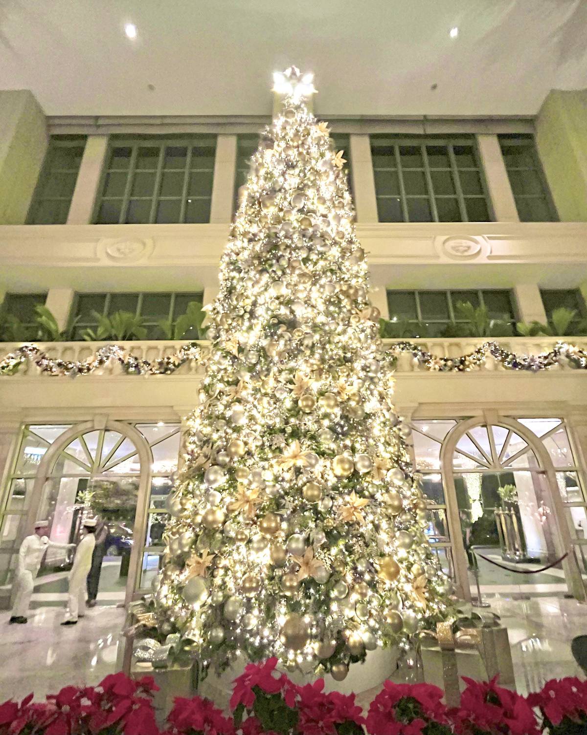 Oh Christmas tree.