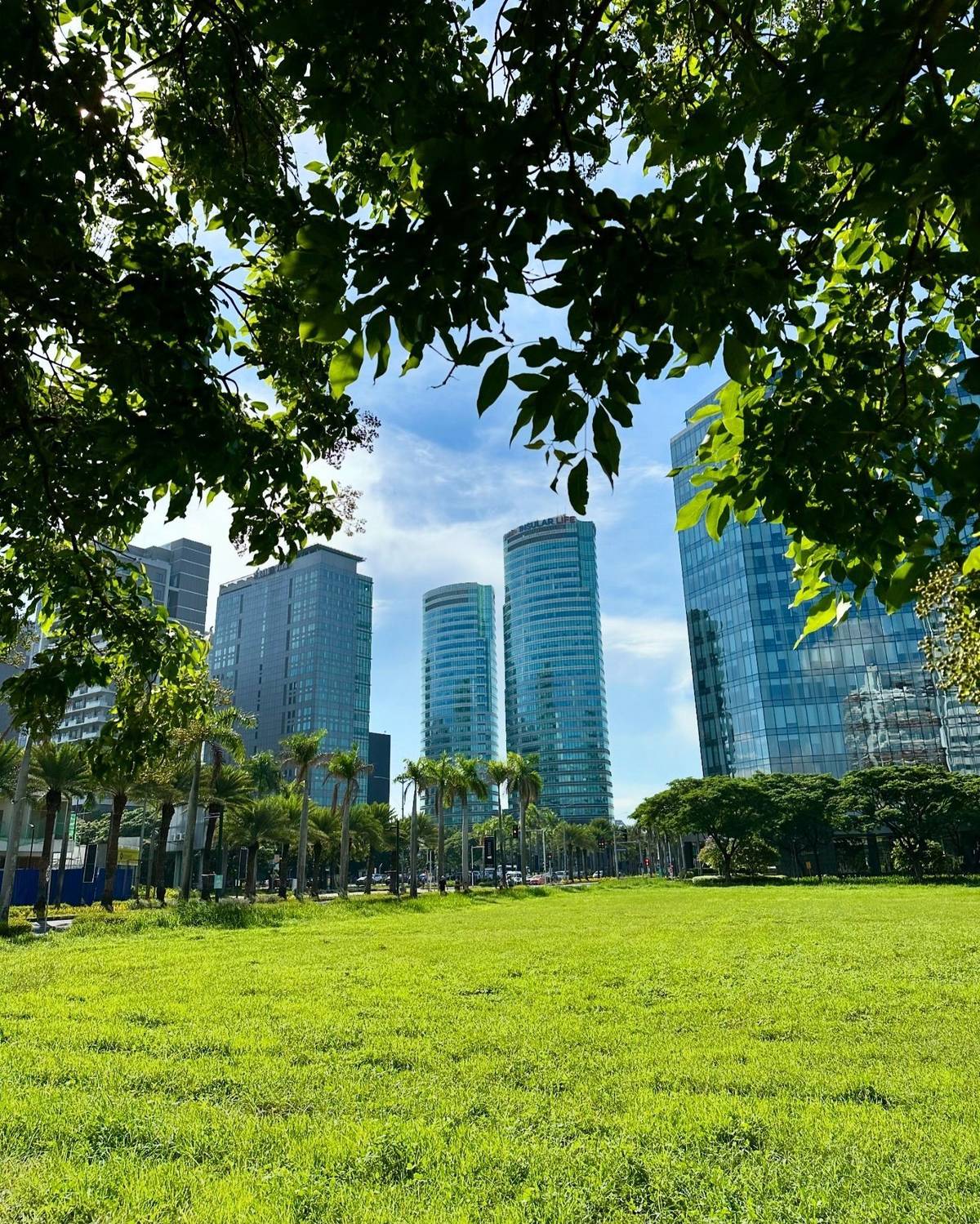FLI’s sustainable design is reflected in Filinvest City’s tree-lined roadsides and solar panels on the roof of its Festival Mall shopping complex.