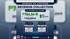 BoC collects P784.54B for year until October
