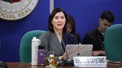 Pia weighs offer to chair Blue Ribbon: ‘It’s my job to consider it’