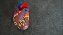 Stress, sleep deprivation cause heart problems — cardiologist