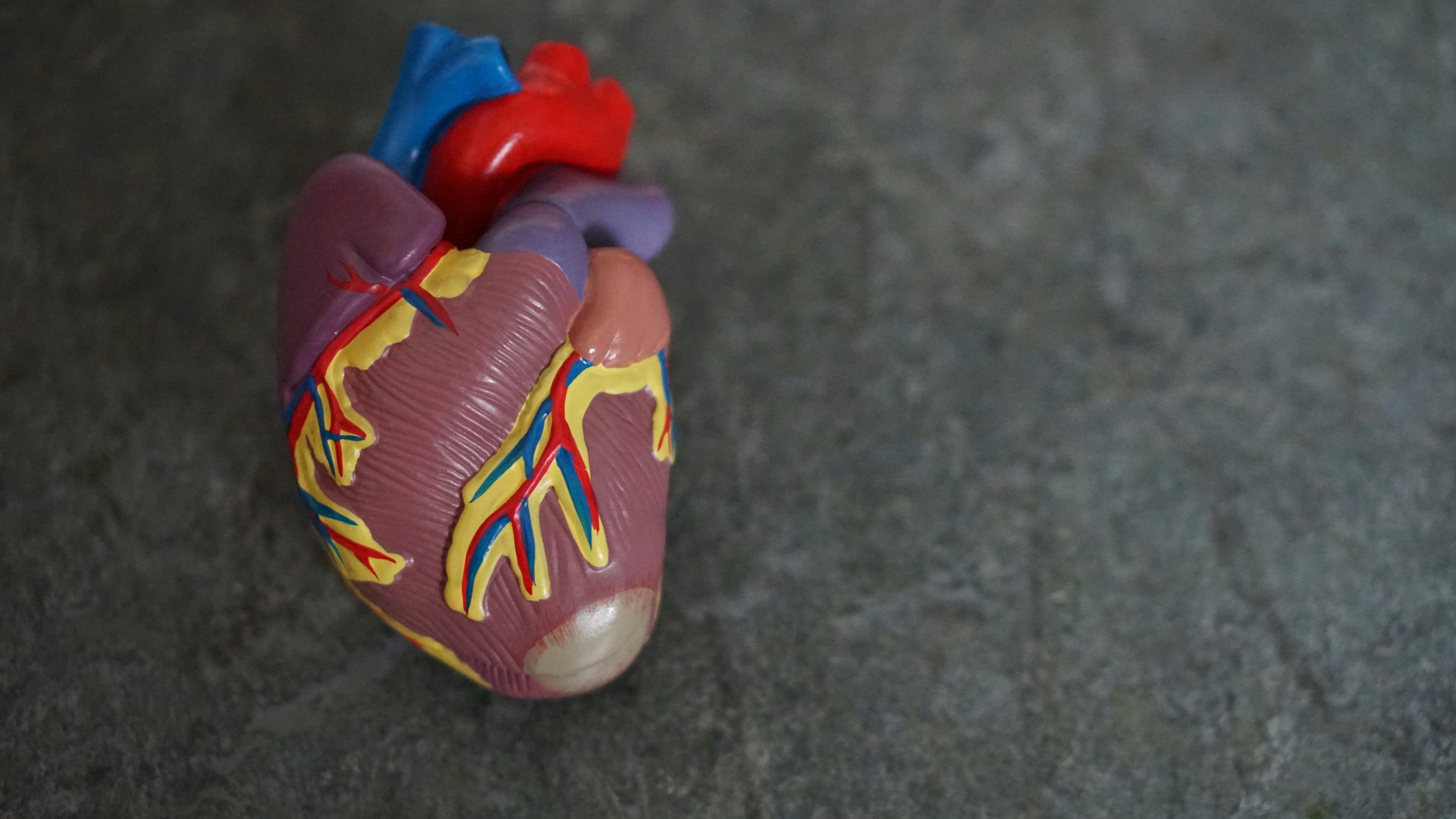 Stress, sleep deprivation cause heart problems — cardiologist