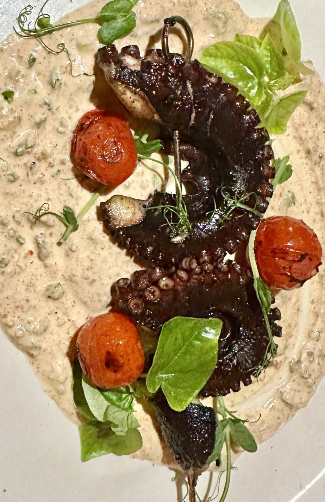Grilled pulpo, smoked yogurt, blistered cherry tomatoes.