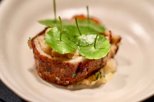 Lechon de Lobster: Kurobuta suckling pig belly, spring onion, glutinous rice, with sauce trifecta: cilantro green sauce, smoked tomato pork jus, tartare sauce.