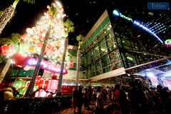 Tree lighting at Araneta City