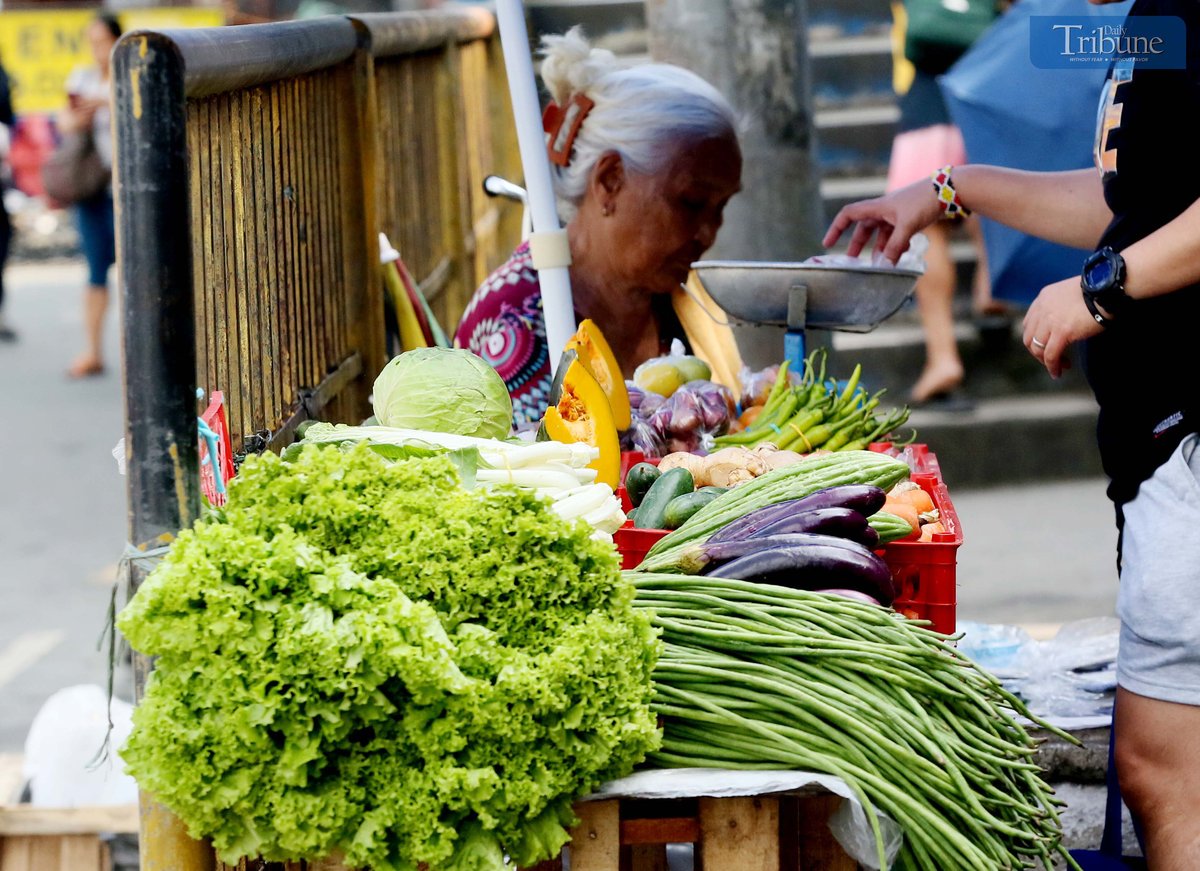 On Friday, 15 November 2024, a customer purchases vegetables from an 83-year-old vendor at Philcoa, along Commonwealth Avenue in Quezon City.