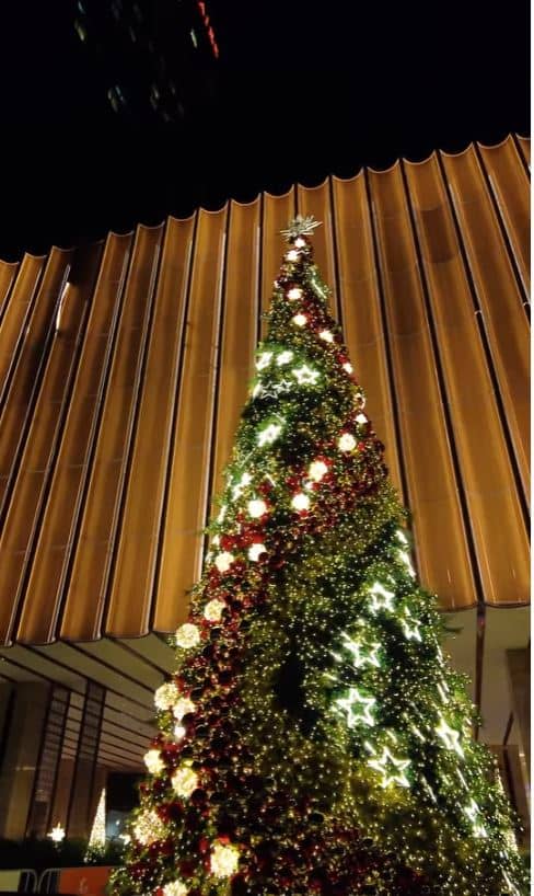 Solaire Resort North’s 20-foot Christmas tree.