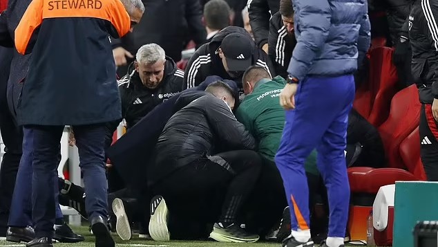 Netherlands-Hungary Nations League match interrupted by medical emergency