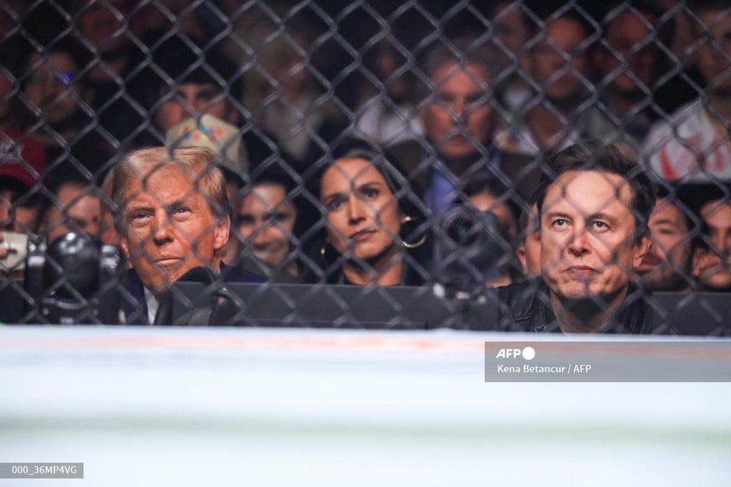 Trump draws cheers during UFC fight night appearance