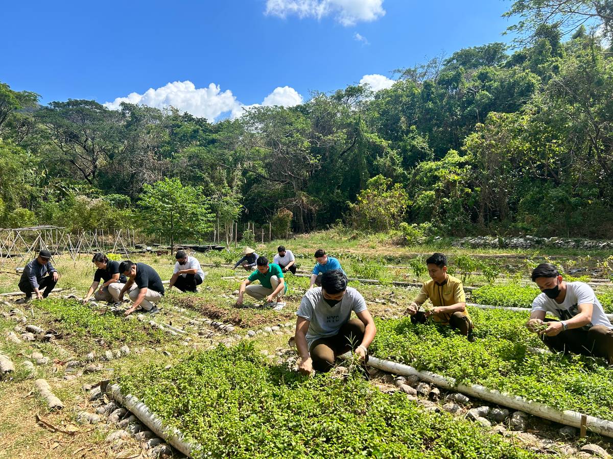 SM Hotels and Convention Centers champion sustainable dining practices by transforming food waste into resources for vegetable gardens and partner farmers, which are then utilized in hotel operations.